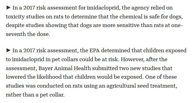 Pet deaths blog June 2021 #10