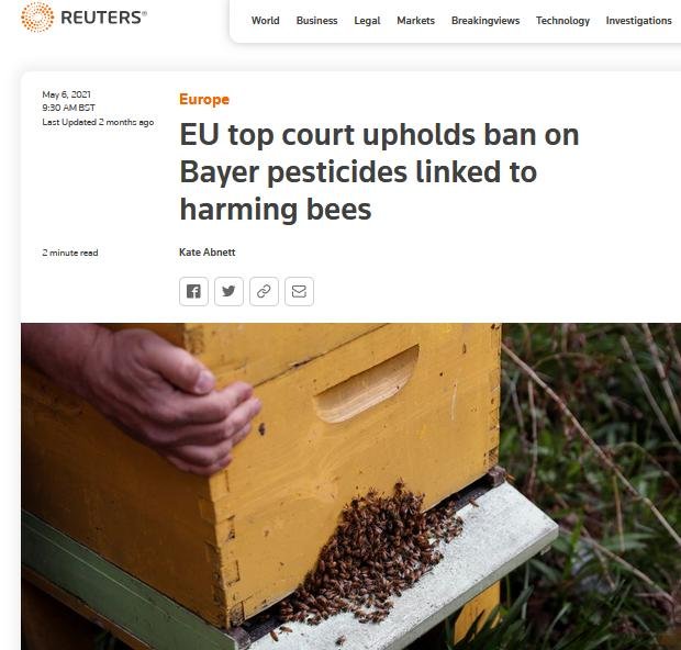 Pet deaths blog June 2021 #11