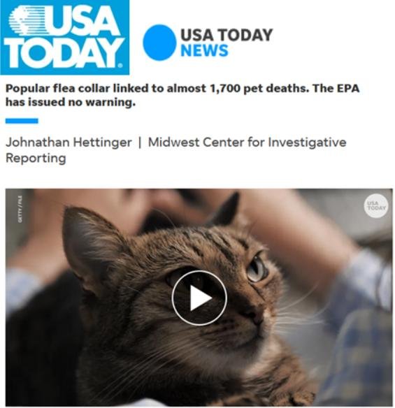 Pet deaths blog June 2021 #13