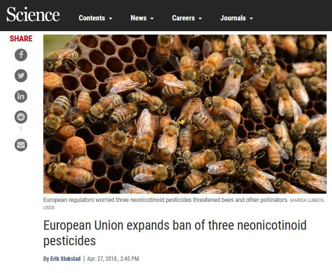 Pet deaths blog June 2021 #18