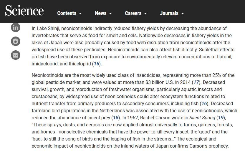 Pet deaths blog June 2021 #22