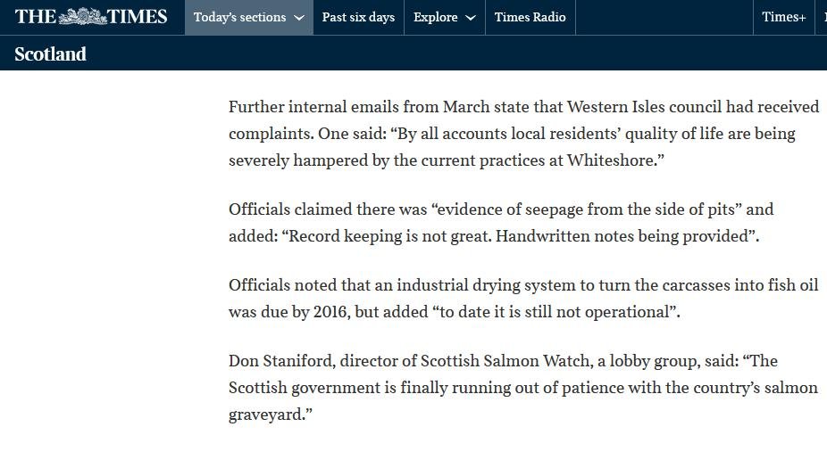 Times 1 July 2021 #4