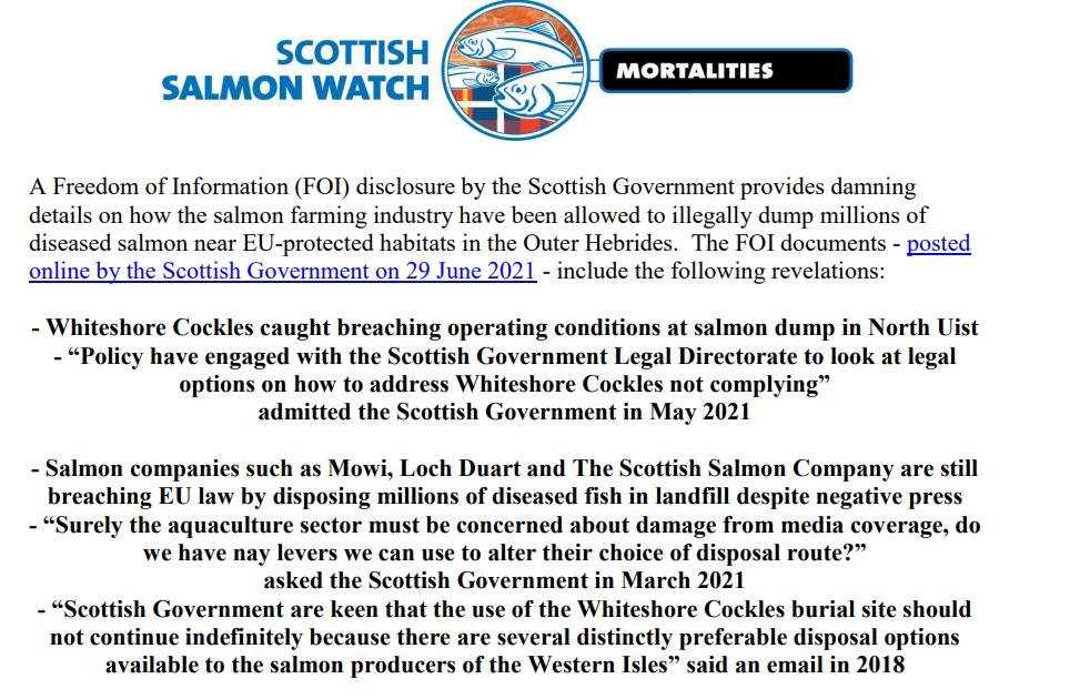 Media Backgrounder FOI Lifts Lid July 2021 #1