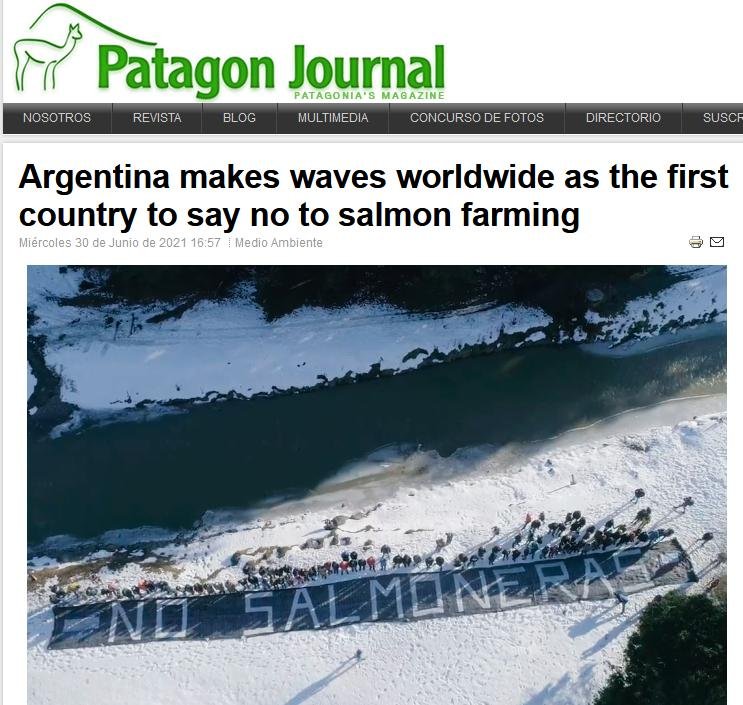 Argentina blog July 2021 #1