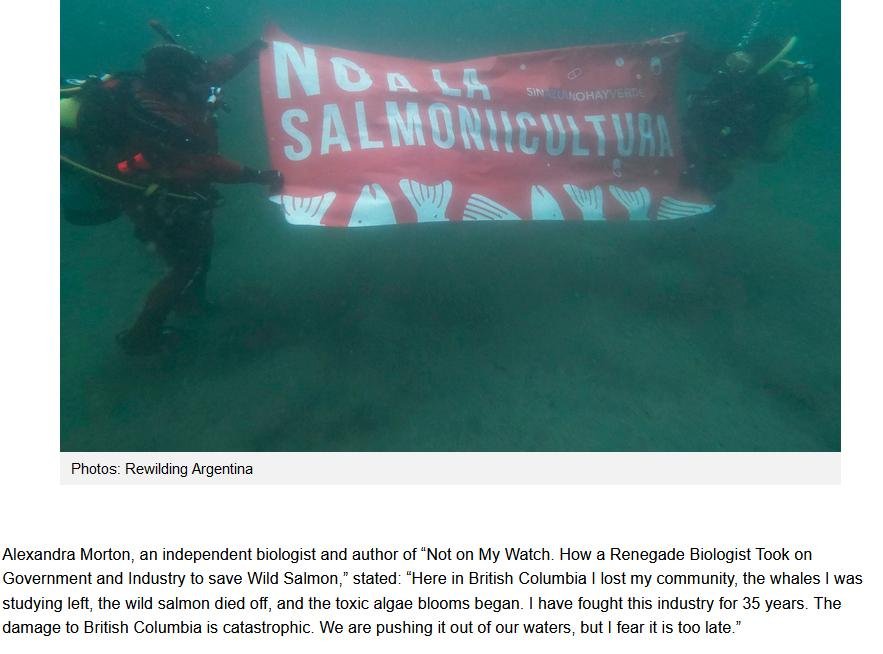 Argentina blog July 2021 #7