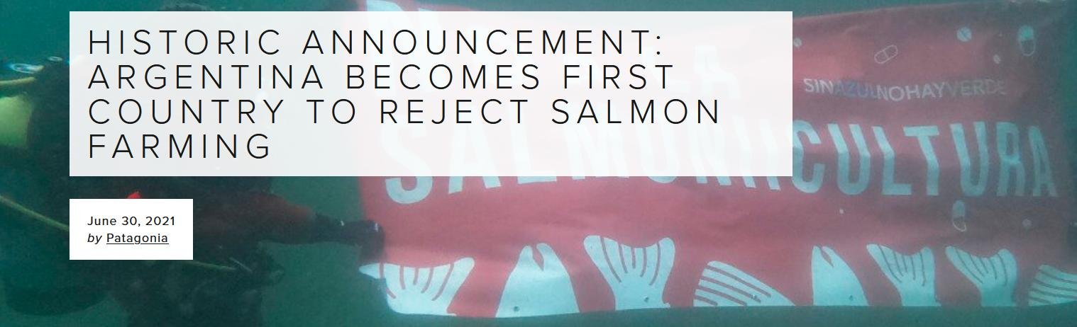 Argentina blog July 2021 #9