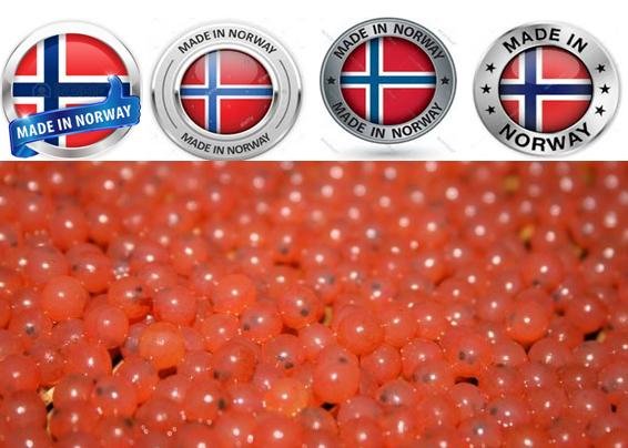 Norway eggs graphic Norway eggs graphic