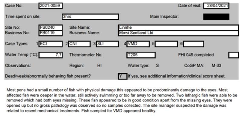 Salmondemic blog July 2021 #11 Mowi Linnhe Salmondemic blog July 2021 #11 Mowi Linnhe