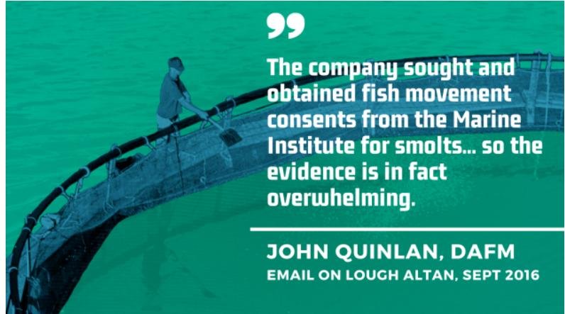 Salmondemic blog July 2021 #39 Altan