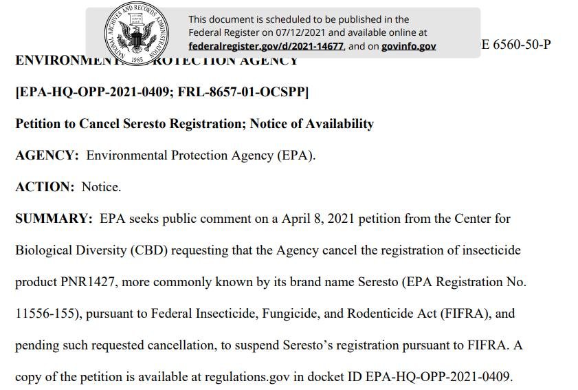 Pet death blog July 2021 #5