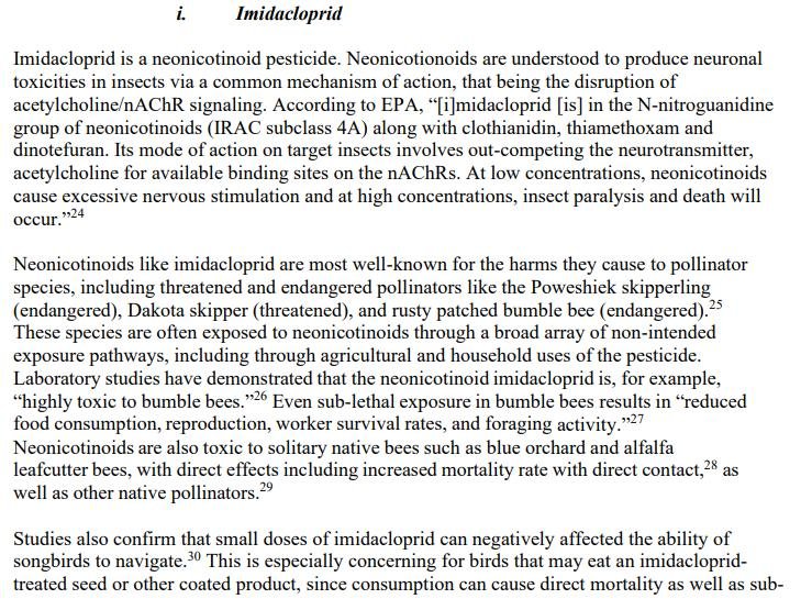 Pet death blog July 2021 #6