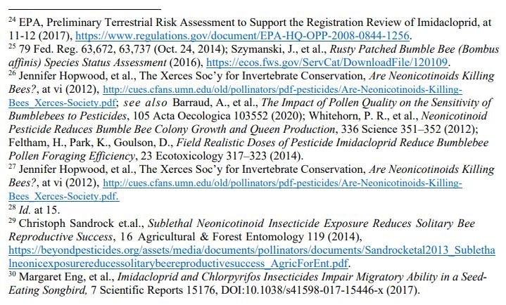 Pet death blog July 2021 #7