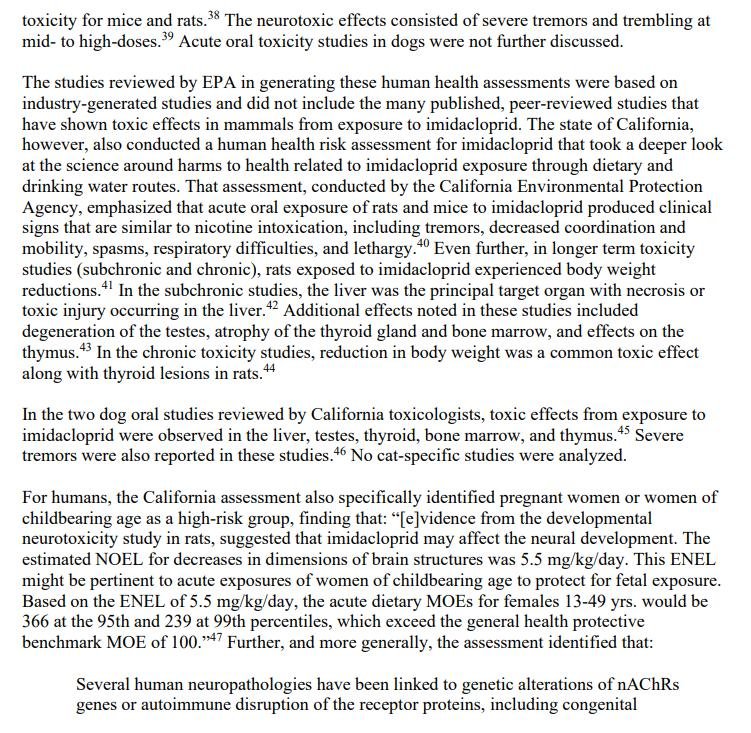 Pet death blog July 2021 #10