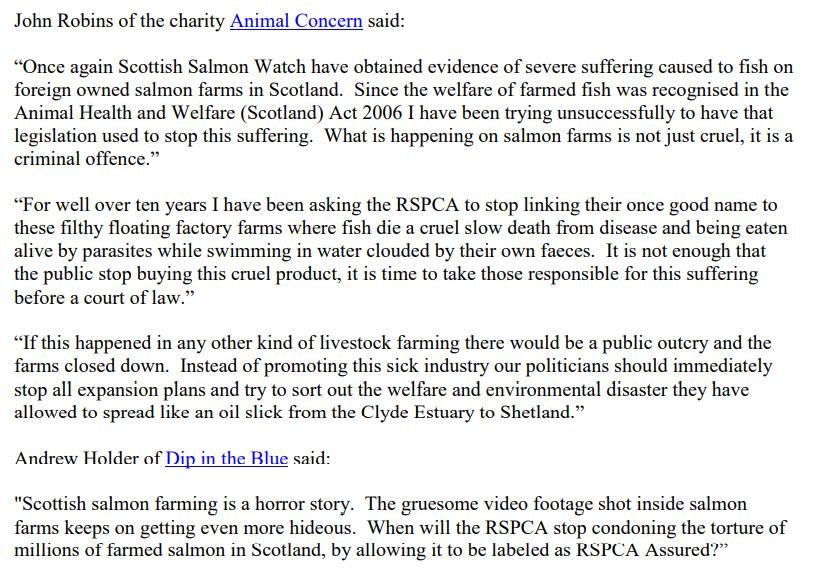 PR Secret Filming Exposes Welfare Abuse at RSPCA Assured Mowi 20 July 2021 #3