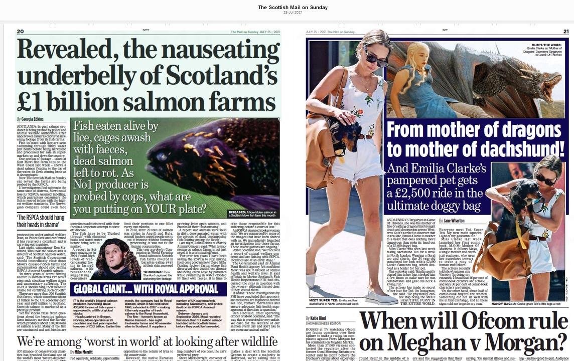 Mail on Sunday 25 July 2021 #3