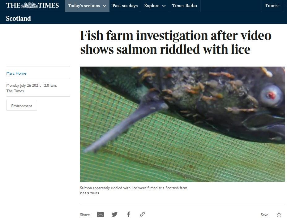 Times 26 July 2021 #1