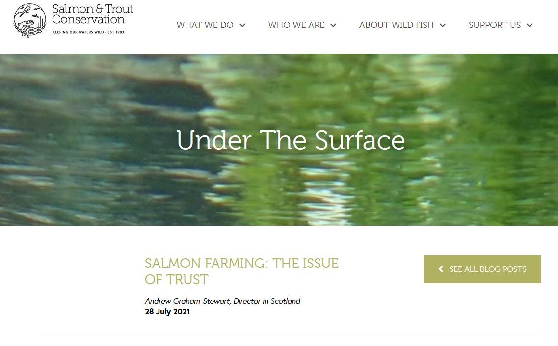 S&TCS blog July 2021 #1