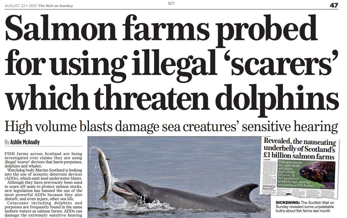 Mail on Sunday ADD illegal 22 August 2021 #1 Mail on Sunday ADD illegal 22 August 2021 #1