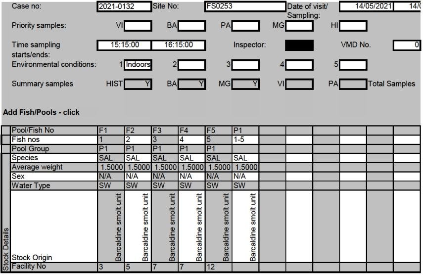 FHI May 2021 Spelve #6 FHI May 2021 Spelve #6