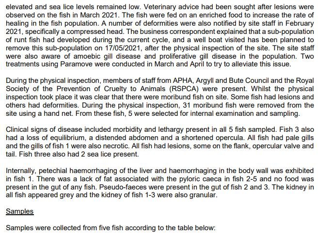 FHI May 2021 Spelve #12 FHI May 2021 Spelve #12