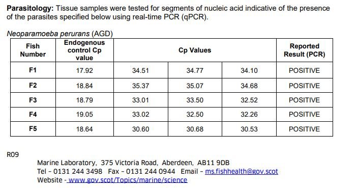 FHI May 2021 Spelve #15 FHI May 2021 Spelve #15