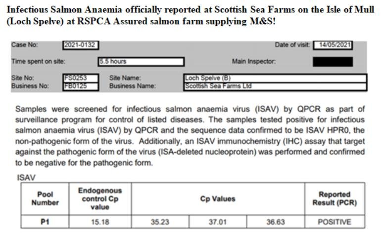 PR ISA in Loch Spelve 30 August 2021 Tweet #1 PR ISA in Loch Spelve 30 August 2021 Tweet #1