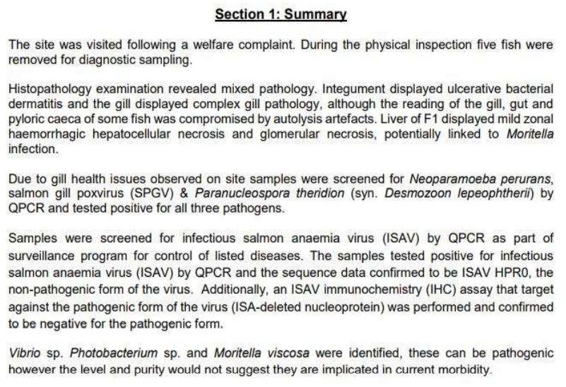 PR ISA in Loch Spelve 30 August 2021 #8