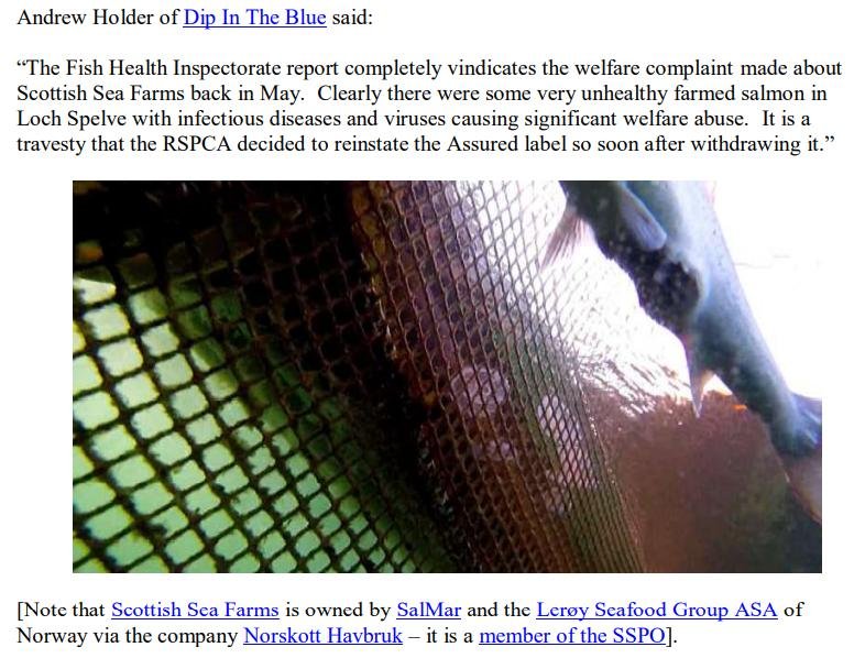 PR ISA in Loch Spelve 30 August 2021 #14