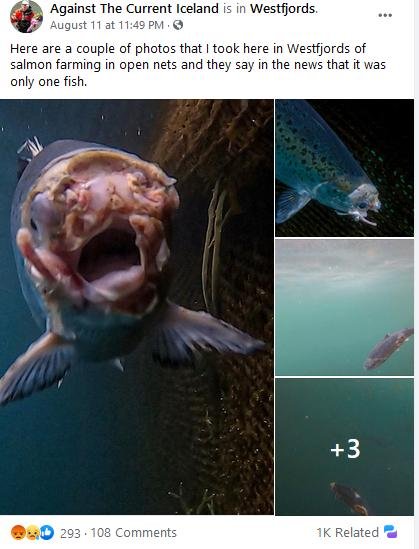 Iceland Against Current Facebook