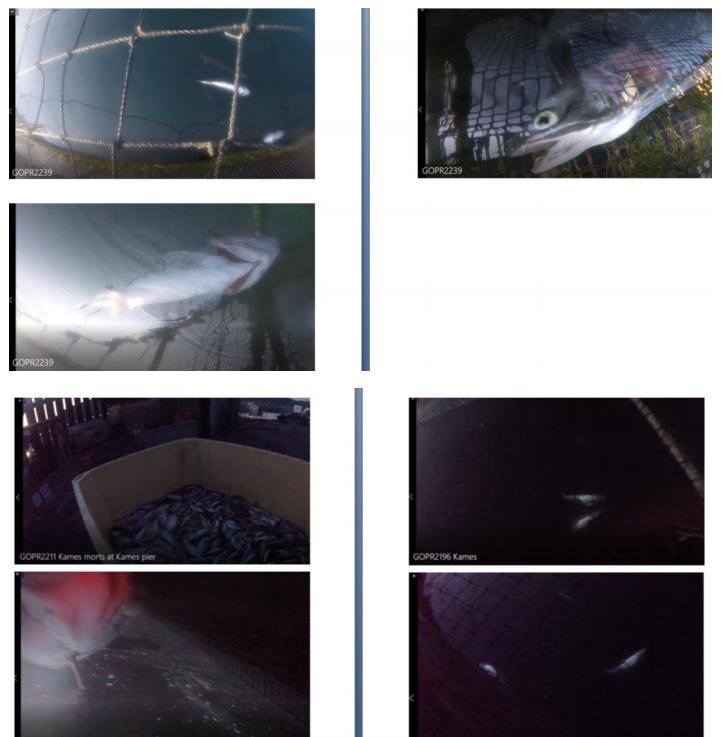 Photo summary Kames 1 & 2 September 2021 #6 Photo summary Kames 1 & 2 September 2021 #6