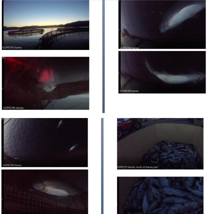 Photo summary Kames 1 & 2 September 2021 #7 Photo summary Kames 1 & 2 September 2021 #7