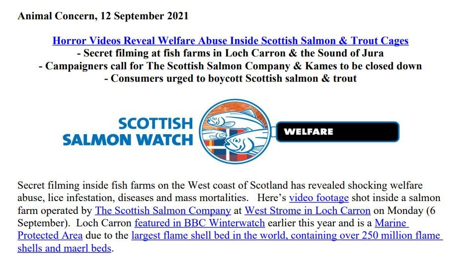 PR Horror Videos Reveal Welfare Abuse Inside Scottish Salmon & Trout Cages 12 September 2021 #1