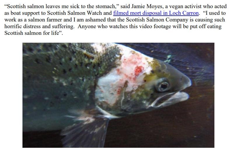 PR NASF & Animal Concern 18 September 2021 #10