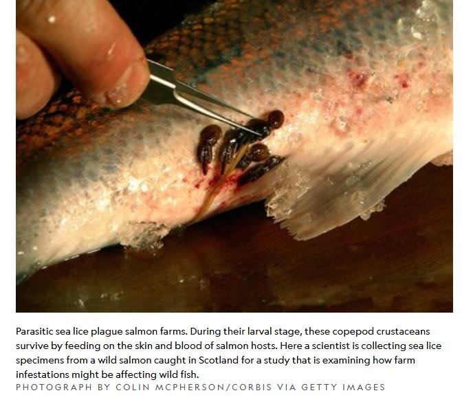 Nat Geo 24 Sept 2021 #2 Nat Geo 24 Sept 2021 #2