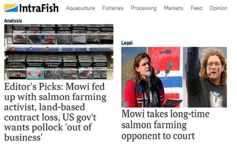 Intrafish 11 Oct 2021 Mowi fed up with activist taking brains to court #3 Intrafish 11 Oct 2021 Mowi fed up with activist taking brains to court #3
