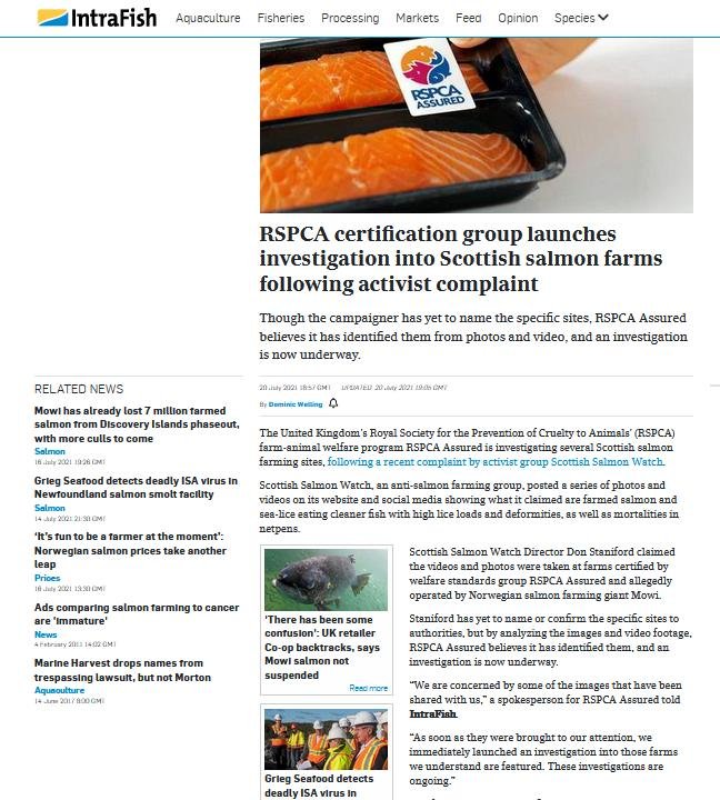 Intrafish 11 Oct 2021 Mowi fed up with activist taking brains to court #6 Intrafish 11 Oct 2021 Mowi fed up with activist taking brains to court #6