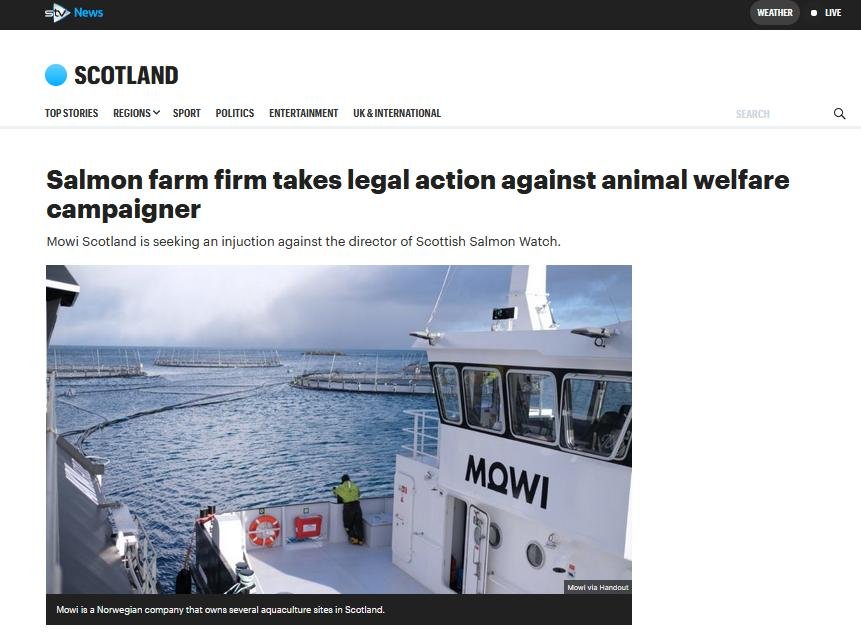 STV News 11 Oct 2021 #1