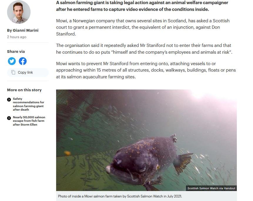 STV News 11 Oct 2021 #2