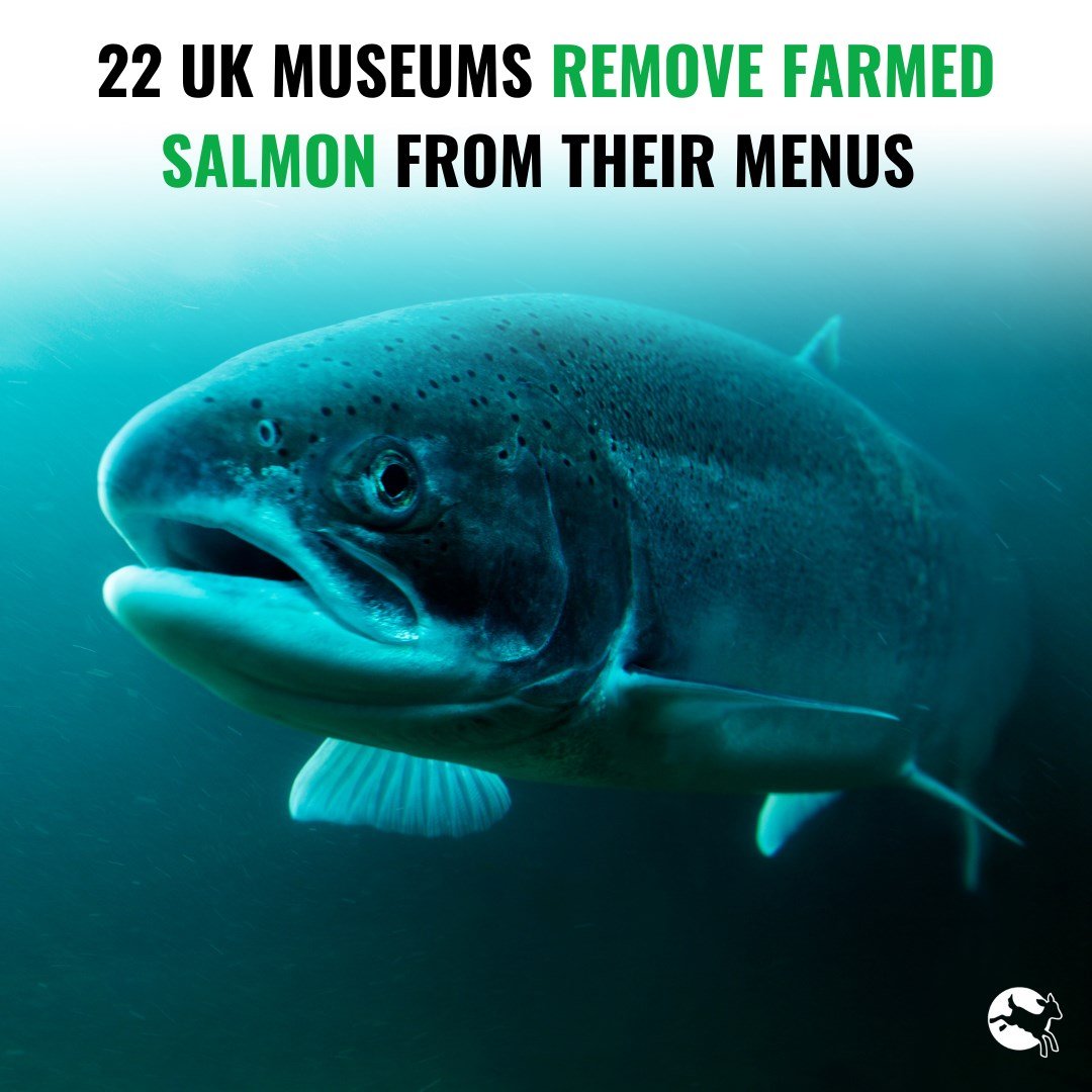 CIWF removal CIWF removal