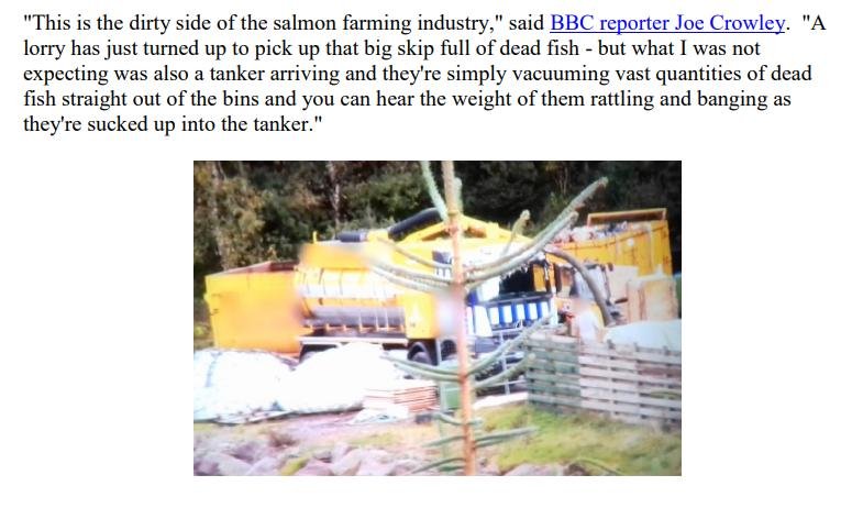 Clayoquot die off video 7 Oct 2021 #8