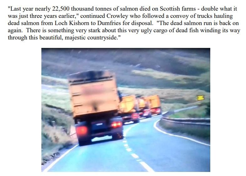 Clayoquot die off video 7 Oct 2021 #9