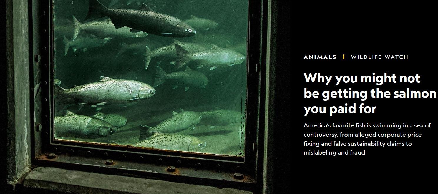 Nat Geo 24 Sept 2021 #1 Nat Geo 24 Sept 2021 #1