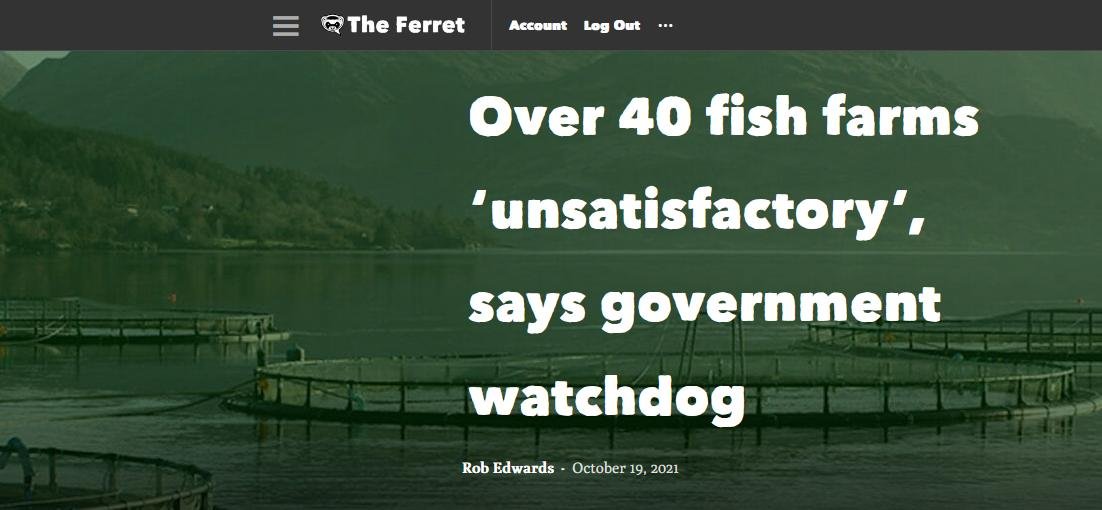 Ferret 19 Oct 2021 #1 Ferret 19 Oct 2021 #1