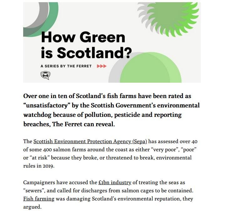 Ferret 19 Oct 2021 #3 Ferret 19 Oct 2021 #3