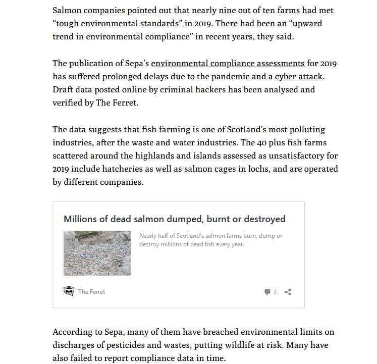 Ferret 19 Oct 2021 #4 Ferret 19 Oct 2021 #4