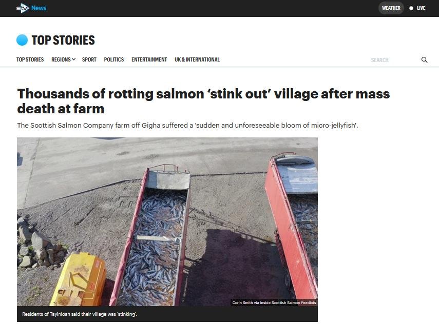 Gigha STV News 20 Oct 2021 #1