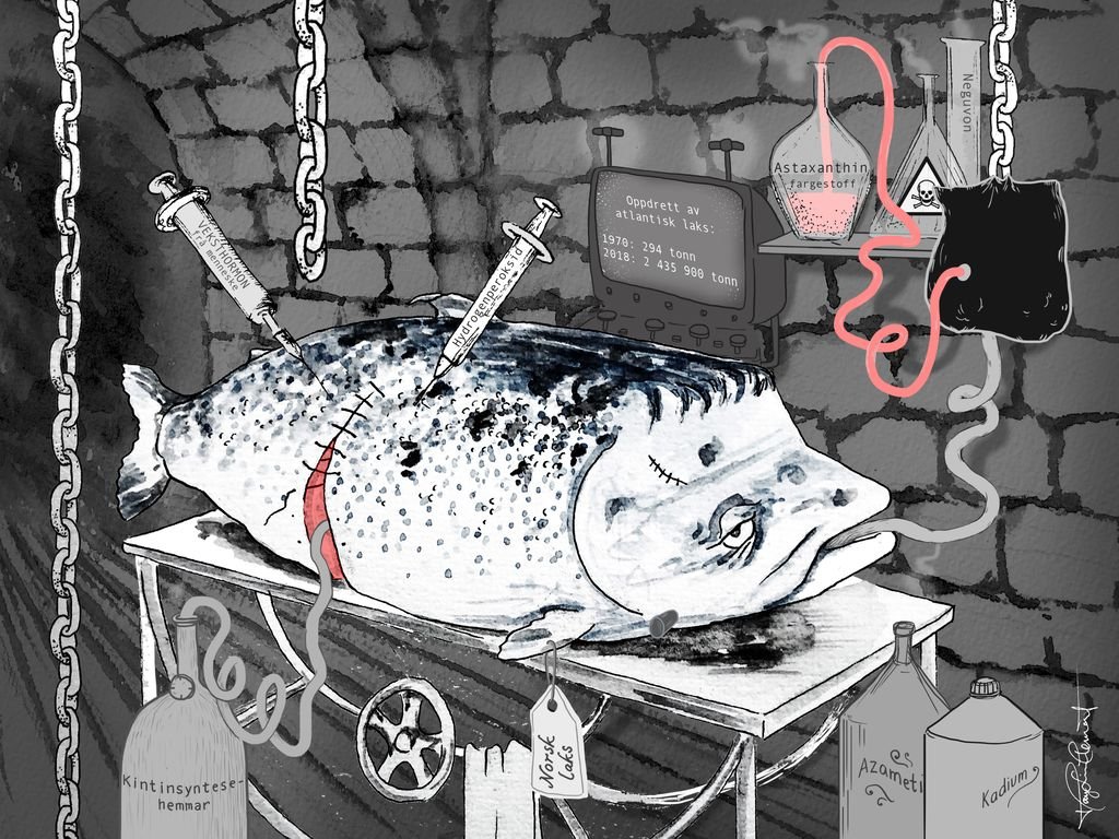 Cartoon Norwegian salmon #2