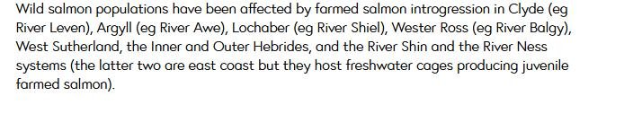 S&TC Escapes #4 S&TC Escapes #4