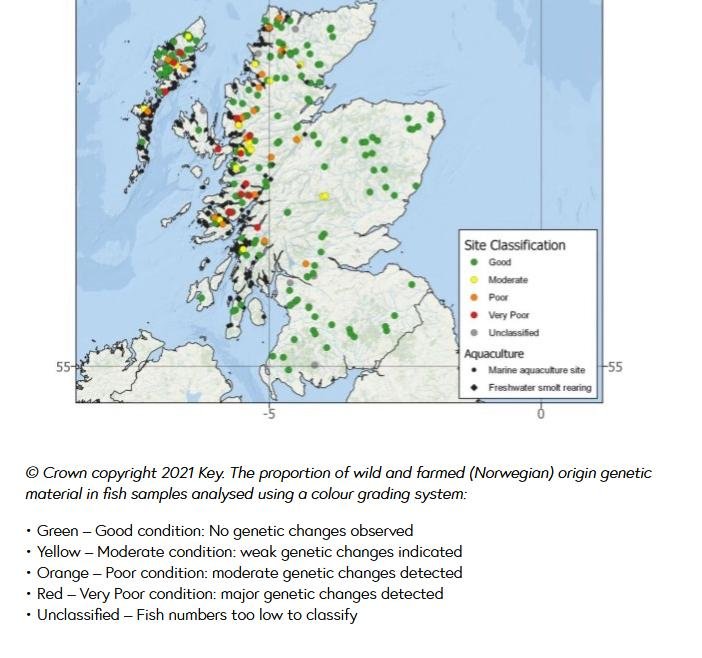 S&TC Escapes #5 S&TC Escapes #5