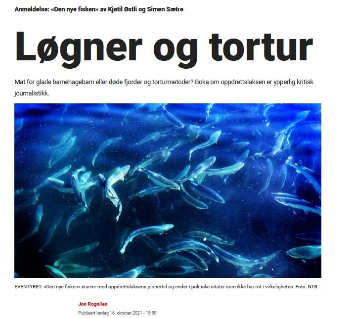 Den Nye Fisken book review Dagbladet